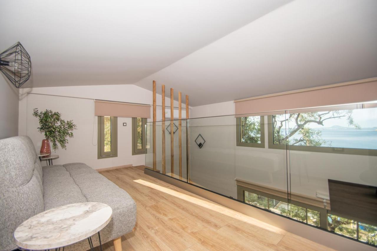 Apartment Casa